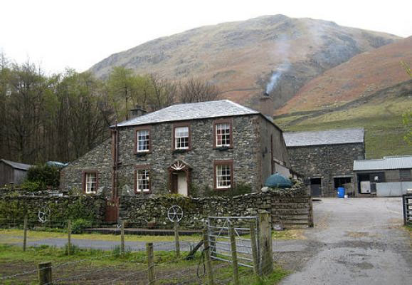 Stybeck Farm Experience